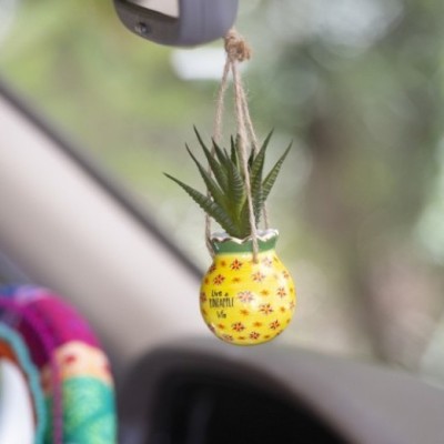 Mini Hanging Succulent Pineapple