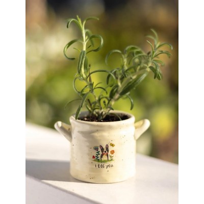 Crock Planter SM I Dig You